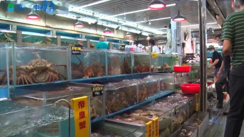 开渔时节，水产品养殖 好吃新鲜的海鲜来啦！