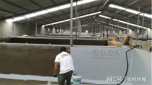 养殖漆 营造优质水产品生产养殖环境，赢得广泛认可