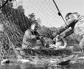 发展生态水产养殖，提升水产品质量