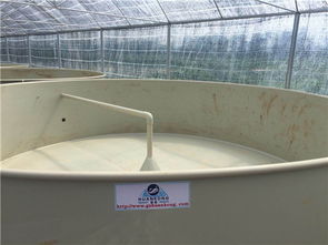 工厂化水产养殖设计 高效节水节地，引领生态环保新潮流