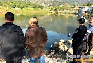 厦门集美双岭村养殖场迎节前“安全体检”，筑牢水产品安全防线