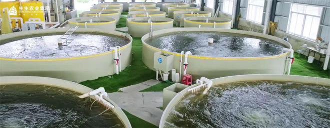 生生农业集团 打造全产业链闭环，实现水产养殖与全链路的深度赋能