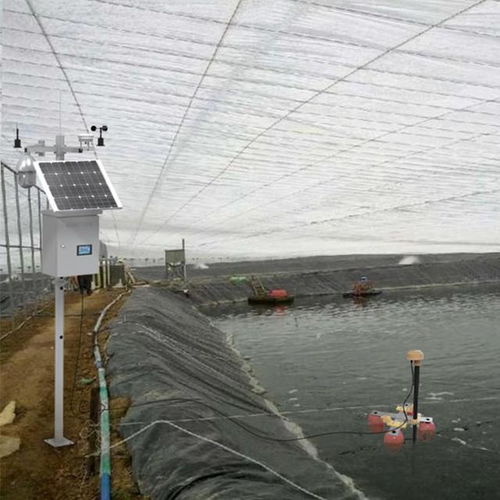 水产养殖监测系统 现代水产品养殖的智慧守护者