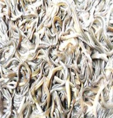 泥鳅养殖产业 从池塘到餐桌的生态与经济效益