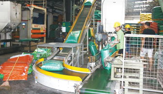 销量再创新高，跃居顺德膨化料单厂第二——健康饲料专家战略布局引领水产品养殖新篇章