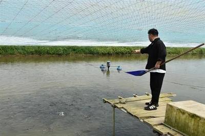 如皋城北街道 智慧农业尽显科技范儿，水产品养殖焕新颜