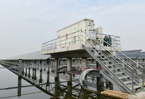 河北沧州 新能源装机容量突破千万千瓦大关 水产品养殖开启绿色转型新篇章